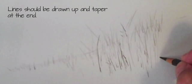 640x281 How To Draw Grass With Colored Pencils Video Tutorial