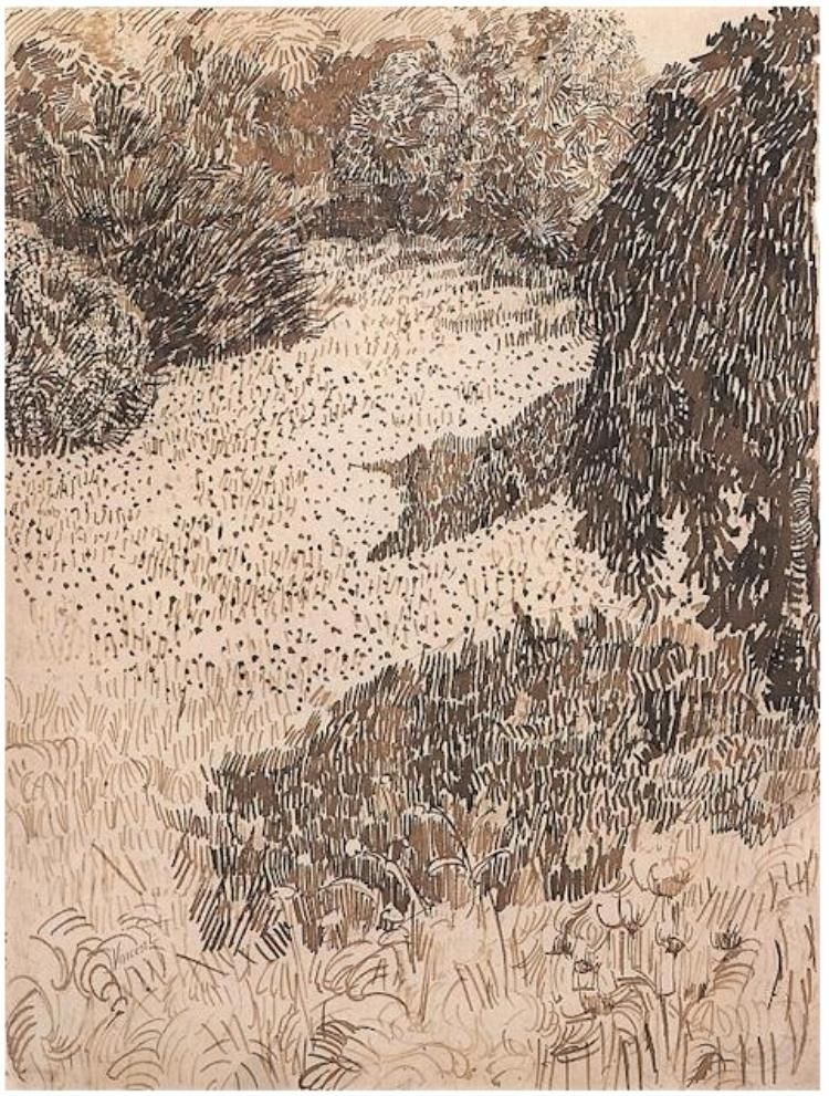 750x991 Lawn With Weeping Tree By Vincent Van Gogh Drawing, Pencil, Reed