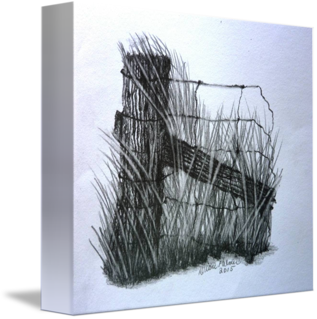 647x650 Old Farm Fence Pencil Drawing By Diane Palmer