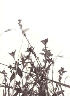 236x324 Ordinary View Art Drawings And Drawings