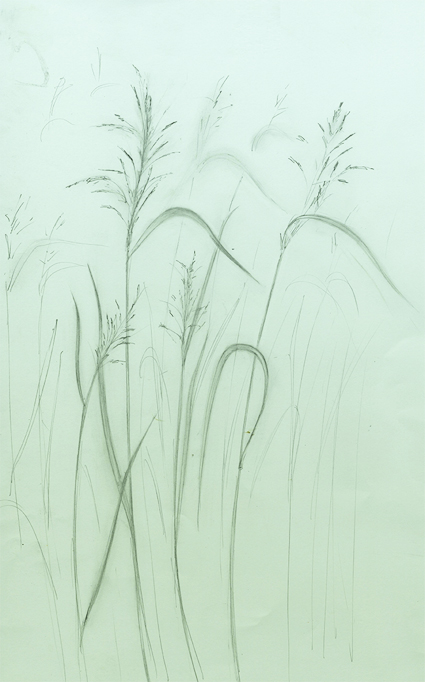 425x682 Drawing And Illusion June 2013