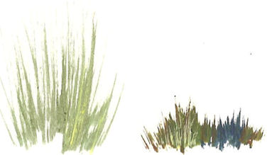 376x219 How To Paint Grass In Acrylics