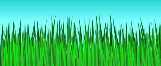 518x215 To Draw Grass