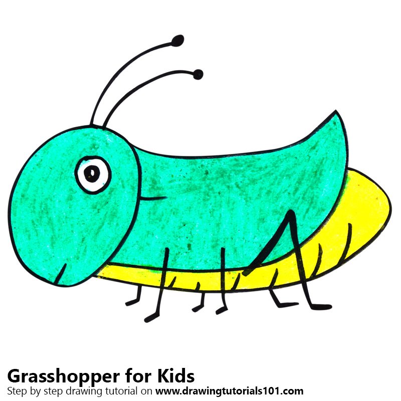 800x800 Learn How To Draw A Grasshopper For Kids (Animals For Kids) Step