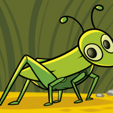 220x220 How To Draw How To Draw A Grasshopper For Kids