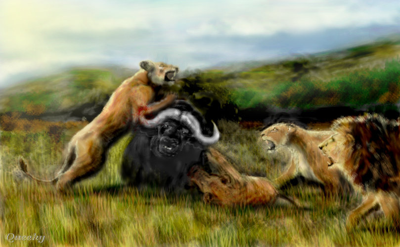 809x500 Lions Hunting An Animals Speedpaint Drawing By Hakan
