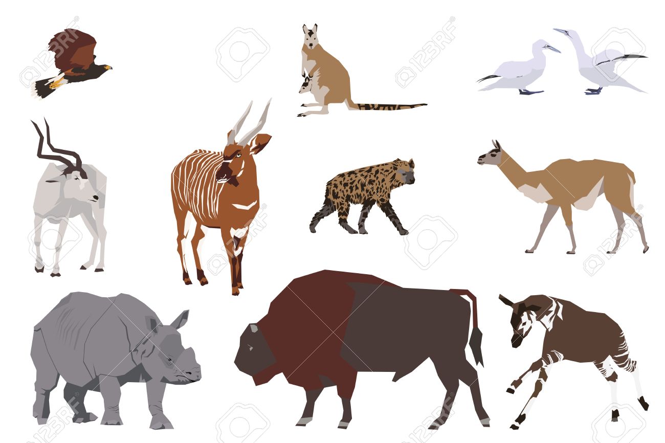 1300x866 Set Of Wild Animals, Collage Style Drawing Royalty Free Cliparts