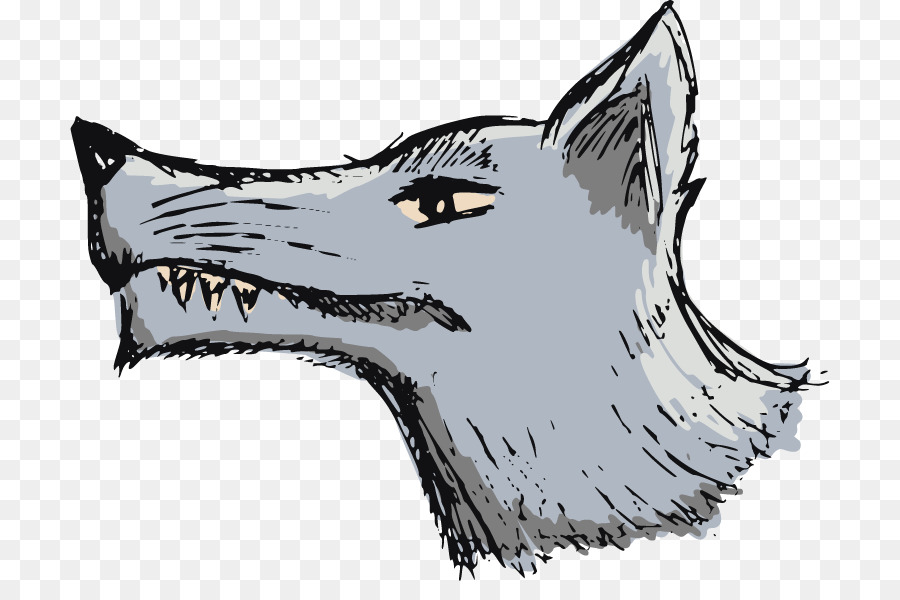 900x600 Gray Wolf Drawing Illustration