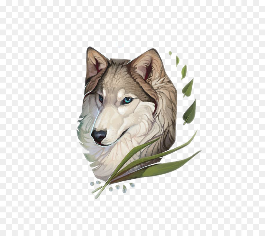 900x800 Siberian Husky Gray Wolf Saarloos Wolfdog Drawing Illustration