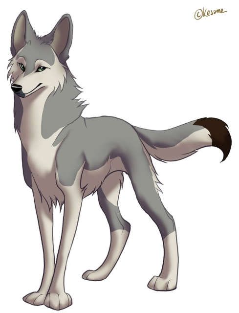 489x640 The Werewolf Pack Drawings Anime Wolf, Wolf And Anime