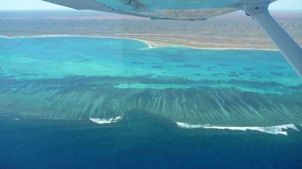 600x337 Connections Between Ningaloo And Great Barrier Reefs
