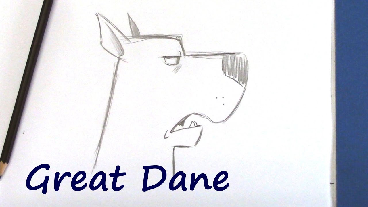 1280x720 How To Draw A Great Dane With Christopher Hart