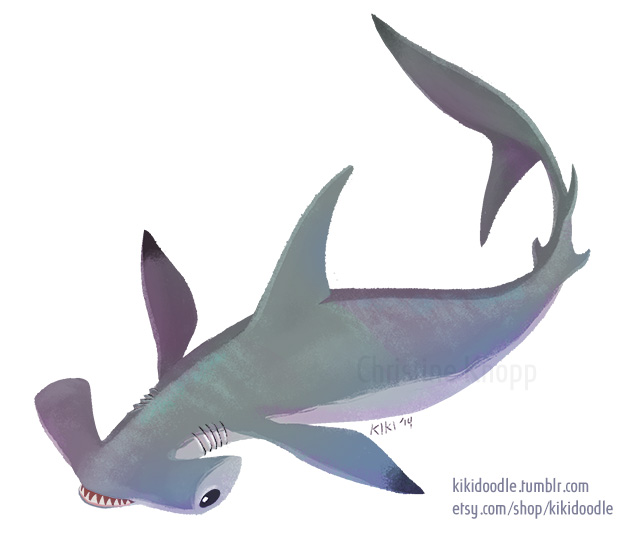 636x543 Hammerhead Shark Sticker By Kiki Doodle
