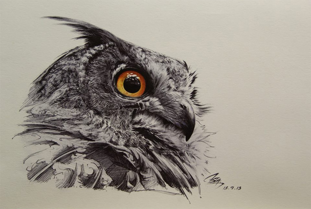 Great Horned Owl Drawing at GetDrawings | Free download