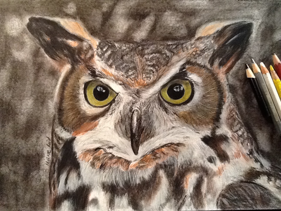 960x720 Great Horned Owl Drawing By Meliesereidmusic