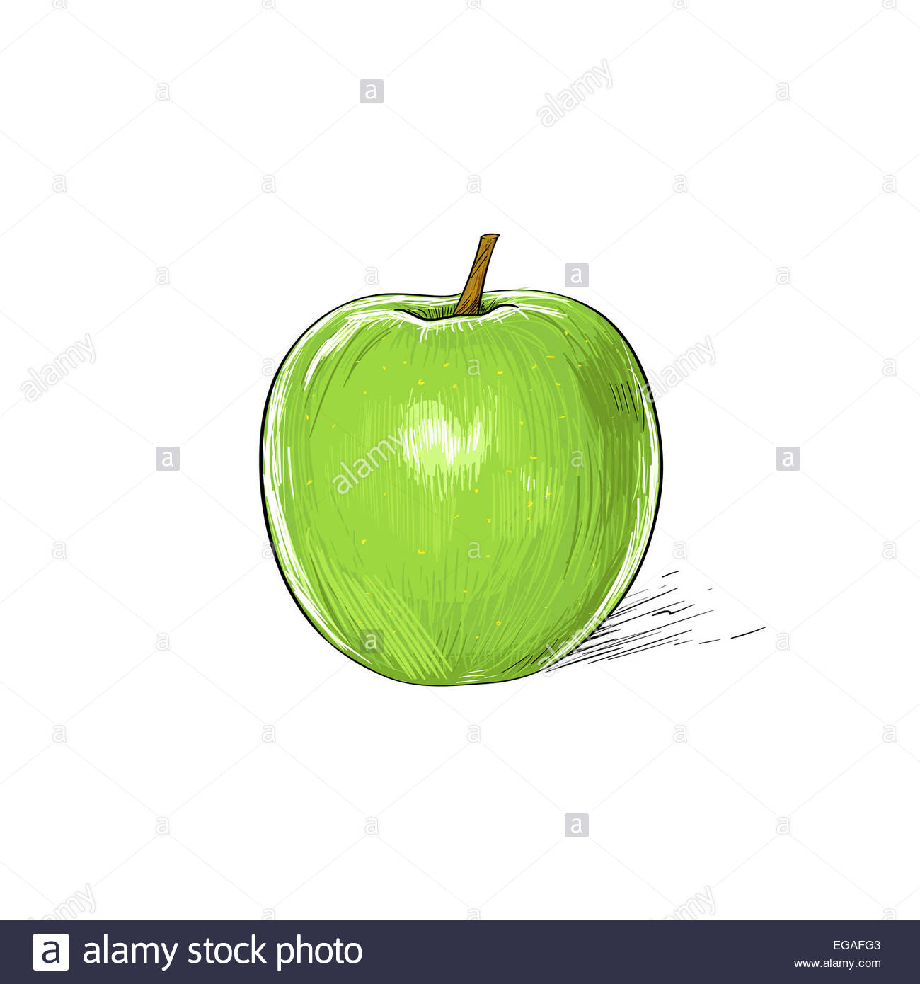 1300x1390 Green Apple Sketch Draw Isolated Over White Stock Photo 78907699