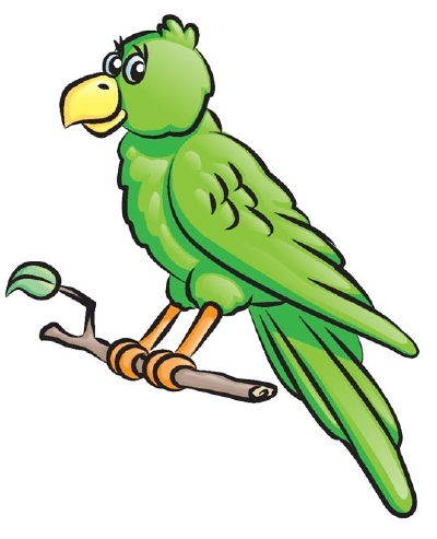 400x493 How To Draw A Parrot Howstuffworks