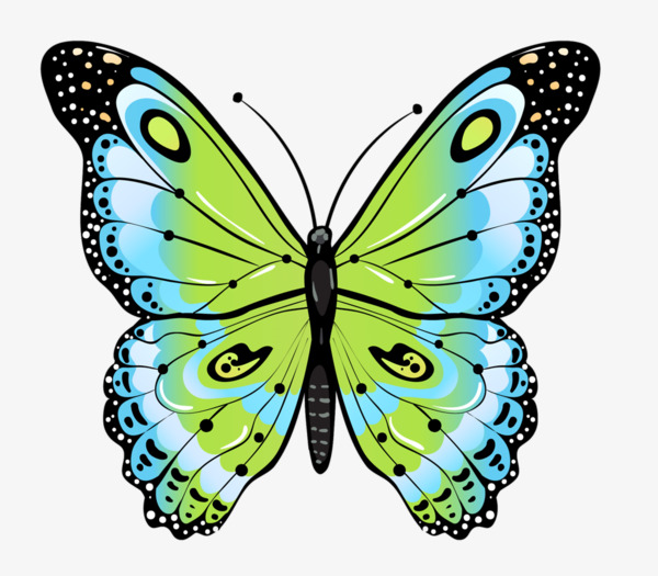 600x525 Cartoon Drawing Green Butterfly, Hand Painted Cartoon, Green