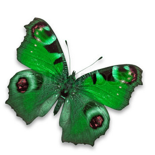 320x320 Drawing Of A Butterfly, Art Illustration More Drawings In My