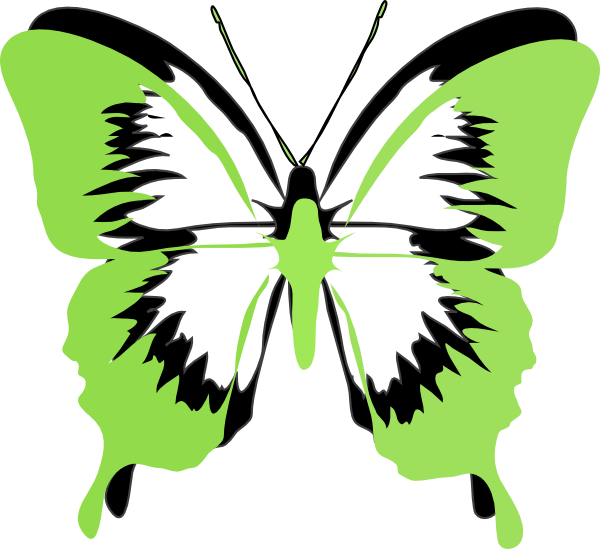 600x549 Green Black Butterfly Clip Art