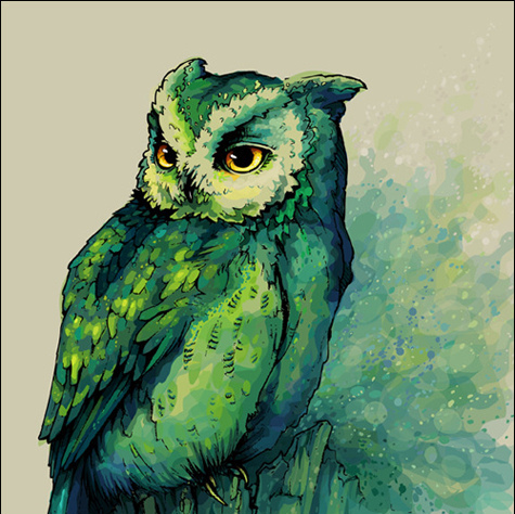 475x474 Bird, Drawing, Green, Illustration, Owl, Painting