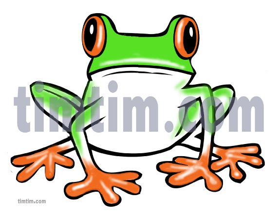 571x444 Free Drawing Of A Red Tree Frog From The Category Reptiles
