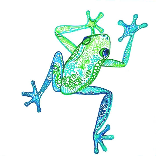 537x539 Tree Frog Drawing Tropical Frog Art Colorful Animal Drawing