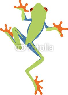 236x328 Red Eyed Tree Frog Cartoon This Was A Drawing For My Mom She