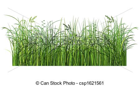 450x277 Illustrated Green Grass. Image Contains Clipping Path