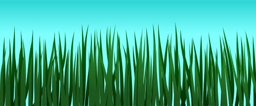 518x215 To Draw Grass