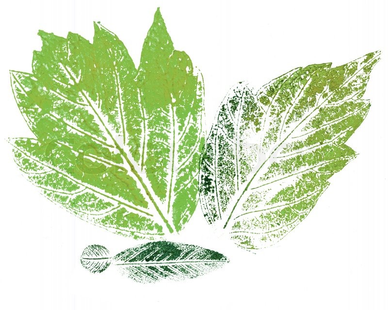 800x640 Butterfly From Green Summer Leaves, Hand Draw, Watercolour Drawing