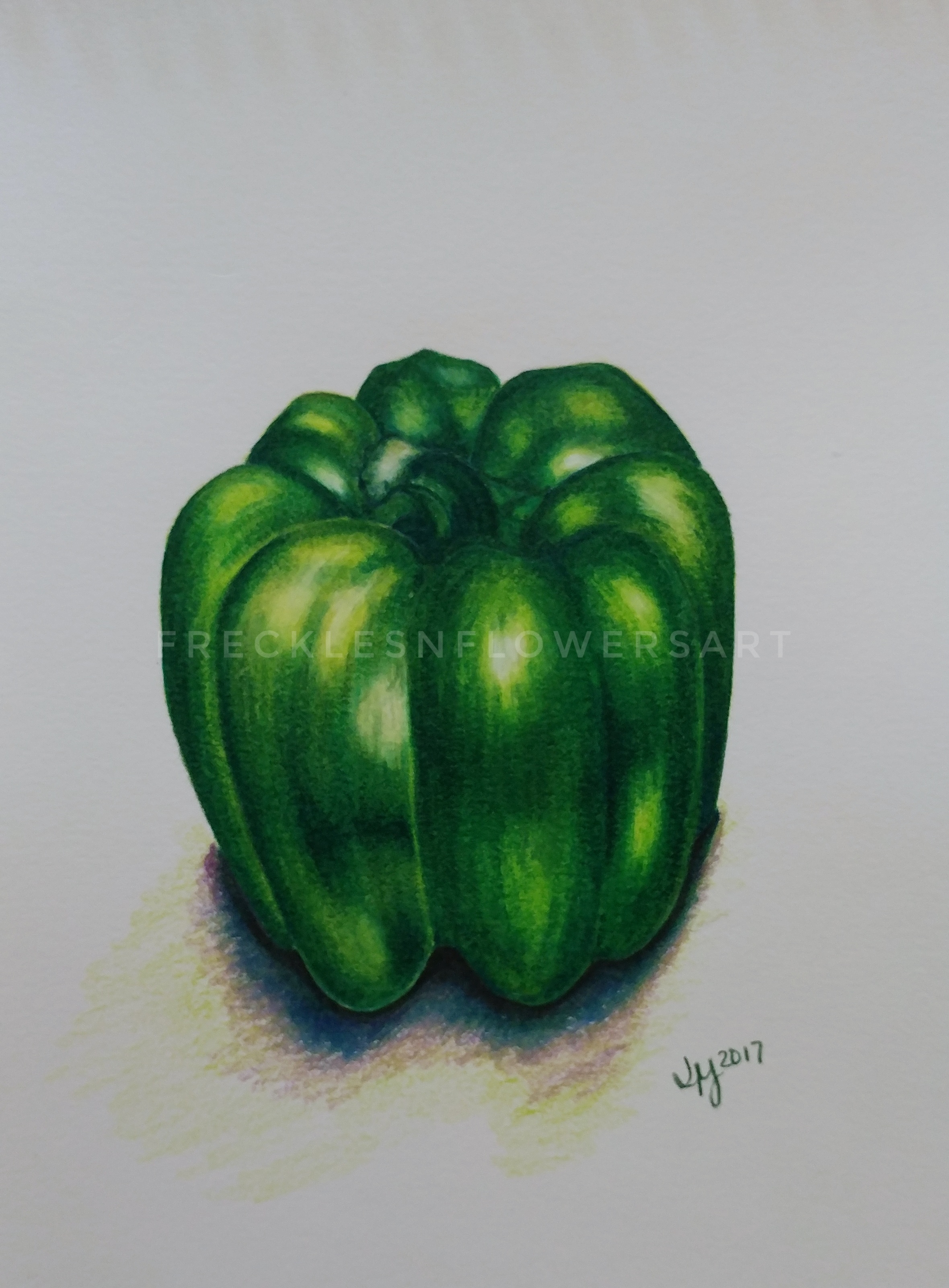 2360x3201 Green Pepper Freckles N Flowers Art