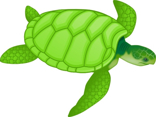 600x451 Green Sea Turtle Clip Art Free Vector In Open Office Drawing Svg