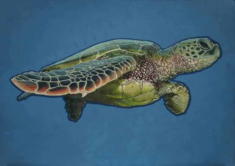 770x544 Saatchi Art Green Sea Turtle 01 Drawing By Carlos Javier