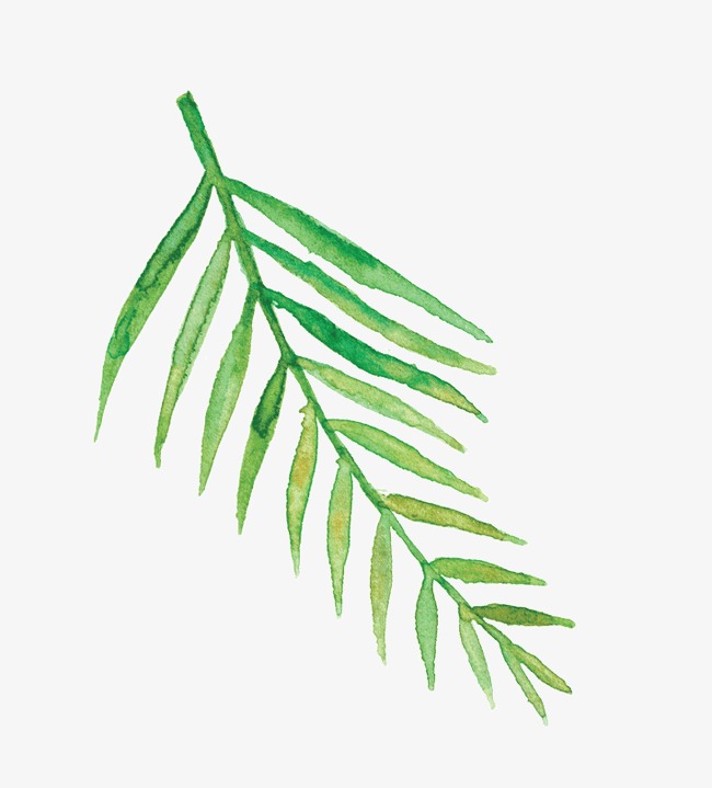 650x719 Drawing Decorative Greenery Patterns, Decorative Pattern