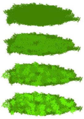 274x388 Drawing Greenery Tutorial