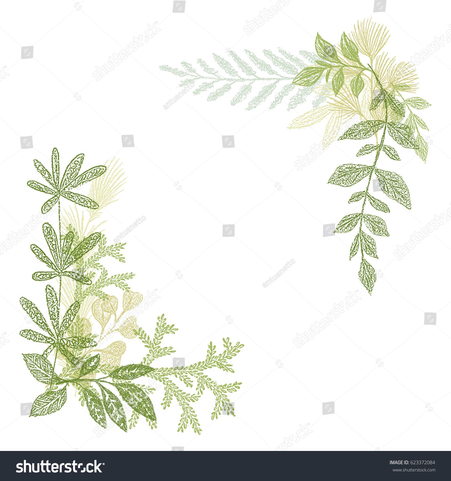 1500x1600 Floral Hand Drawing, Green Leaf Composition. Vector Greenery