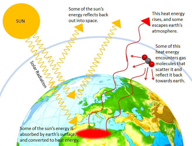 658x502 Lesson Plan Changing Climates Waaw Foundation