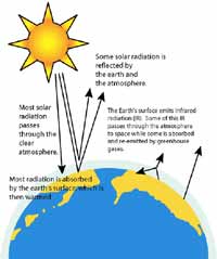 200x239 The Greenhouse Effect