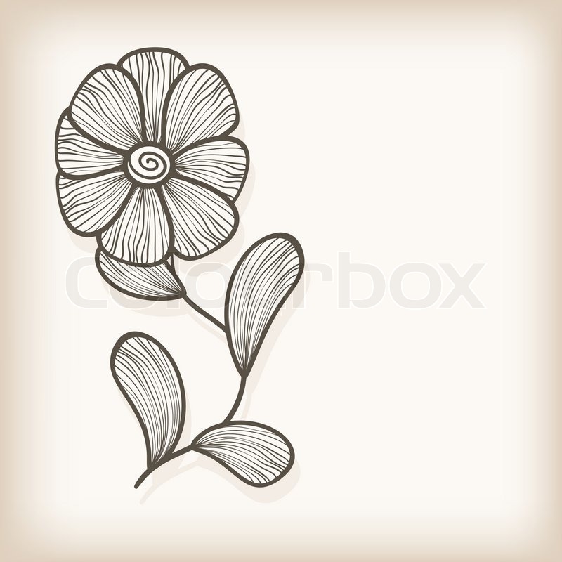 800x800 Drawing Greeting Cards Vector Greeting Card With Hand Drawn