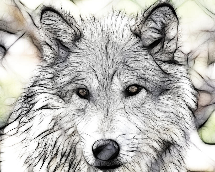 900x719 Scrimshaw Grey Wolf Photograph By Steve Mckinzie