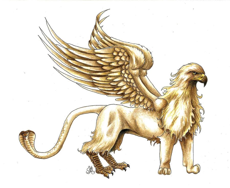 900x737 Griffin Drawing By Scarlett Royal