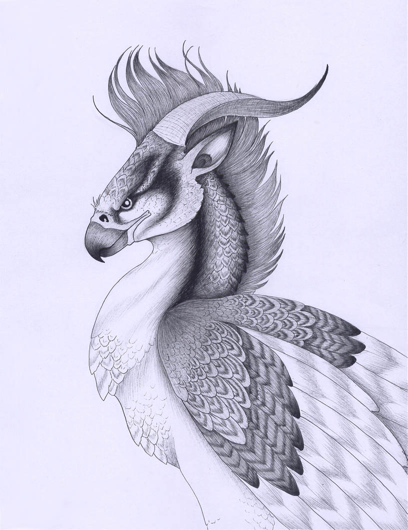 817x1061 Persian Griffin By Verreaux