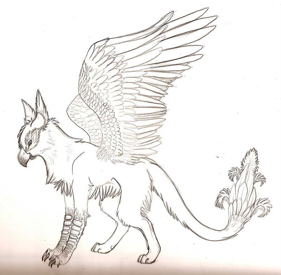 900x880 Mythical Creatures Drawings Drawn Griffon Mythical Creature
