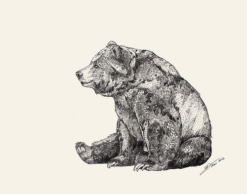 500x393 Drawing A Bear Standing Grizzly Bear Drawings Realistic How