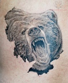 236x289 Bear Sketches Realistic Bear Drawing By Vempiretattoo