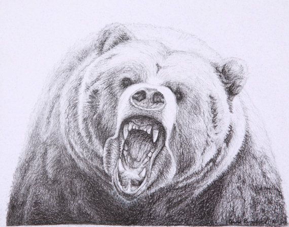 Grizzly Bear Pencil Drawing at GetDrawings | Free download