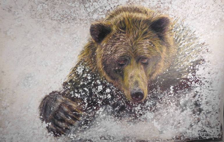 770x488 Saatchi Art Grizzly! Drawing By Paul Archer