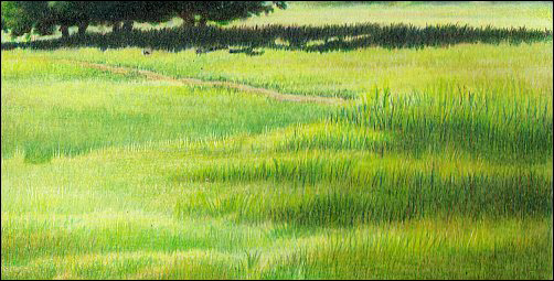 502x255 How To Correct Mistakes Or Rework A Finished Colored Pencil Drawing