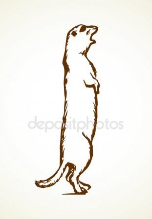 311x450 Groundhog Logo Stock Vectors, Royalty Free Groundhog Logo